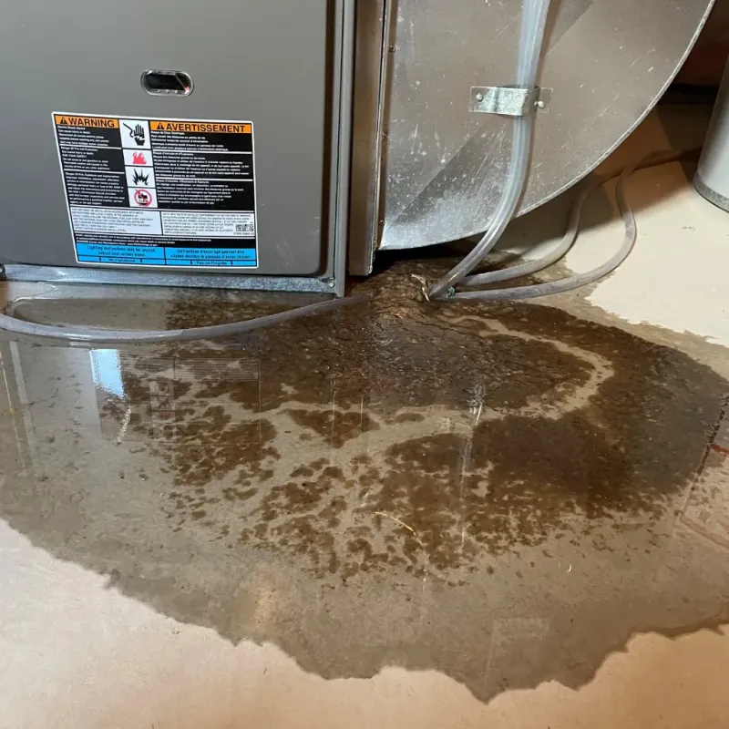 Appliance Leak Cleanup in Fort Kent, ME